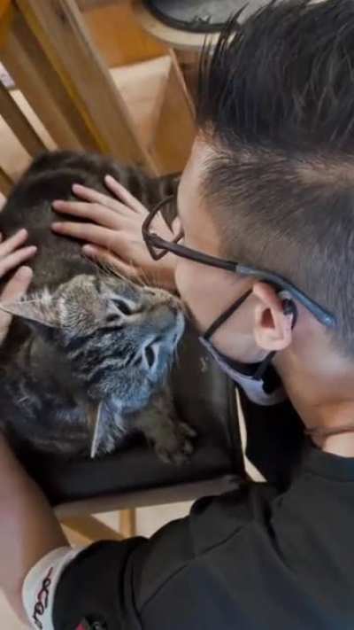 Cat grooming