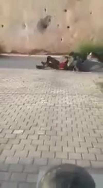 Quick punishment for hitting a dog ...