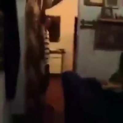 Assista novamente!