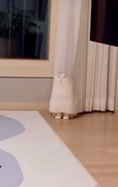 Surveillance Mode