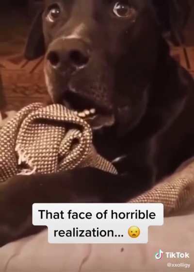 He knows what he did.