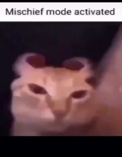 Mew Mew