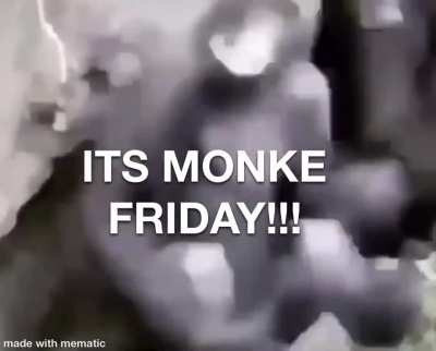 Its monke friday