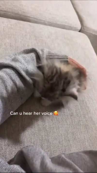 Sound on 🥺