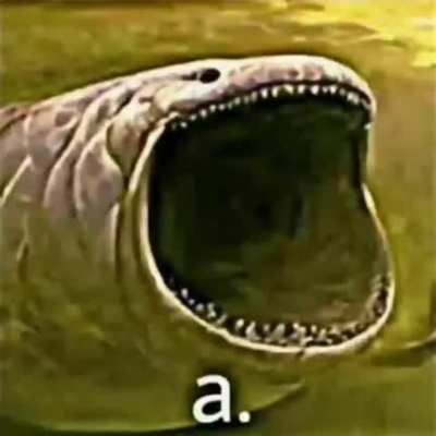 epik a anı