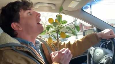 The Urban Rescue Ranch&rsquo;s Lemon Scream