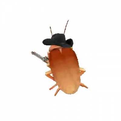 The Arizona r&ouml;&agrave;&ccedil;h with a big iron on his hip