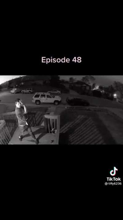 Apparently they do different ones each time they get home to greet their mother.