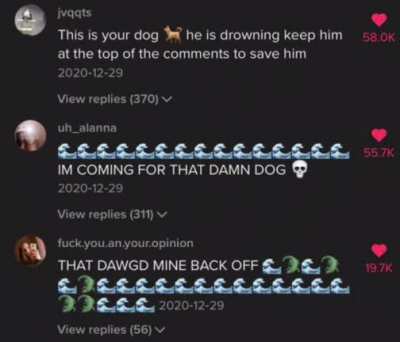 Oh god no not the dog