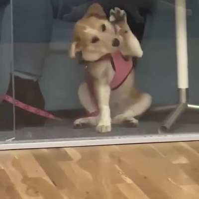 Stuck behind an invisible wall