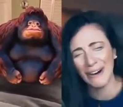 rule 33