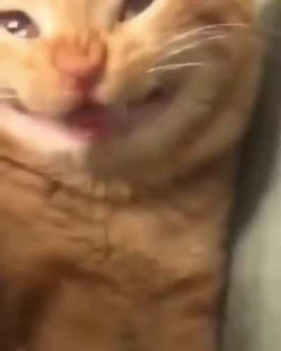 Q cara &eacute; essa???