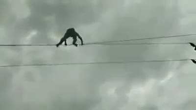 His balls are too big for this planet.