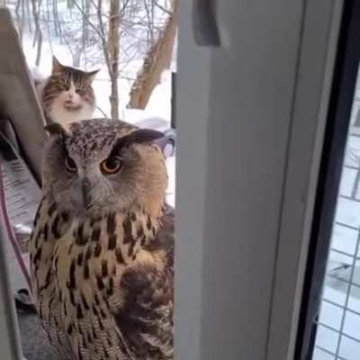 The cats face says it all&hellip;&hellip;&hellip;