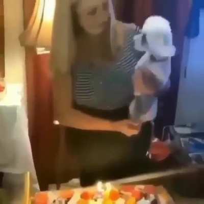 Noooo