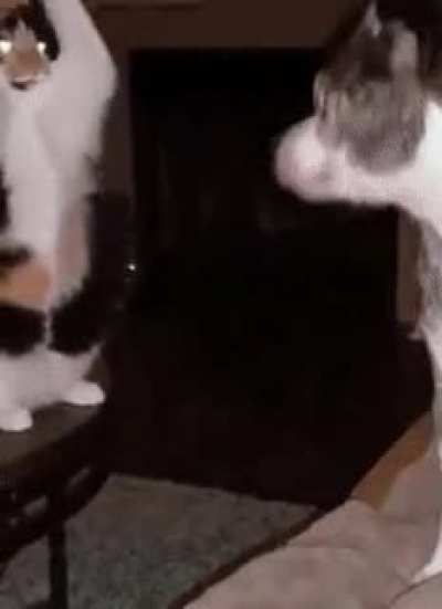 "I'm gonna attac...ah...what?"
