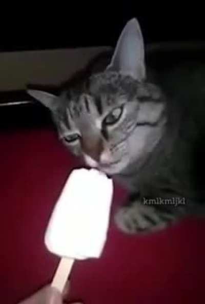 I C E C R E M
