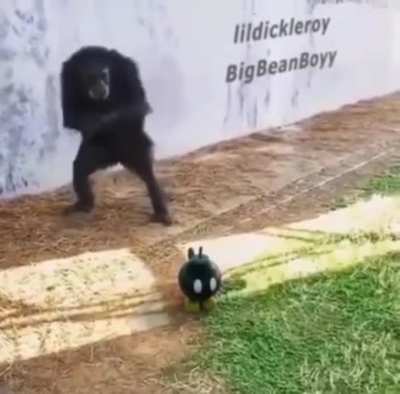 Espero que el pana est&eacute; bien.