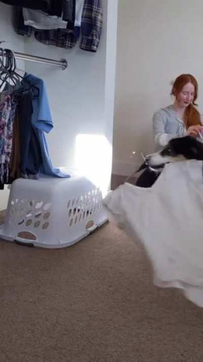 Laundry day!