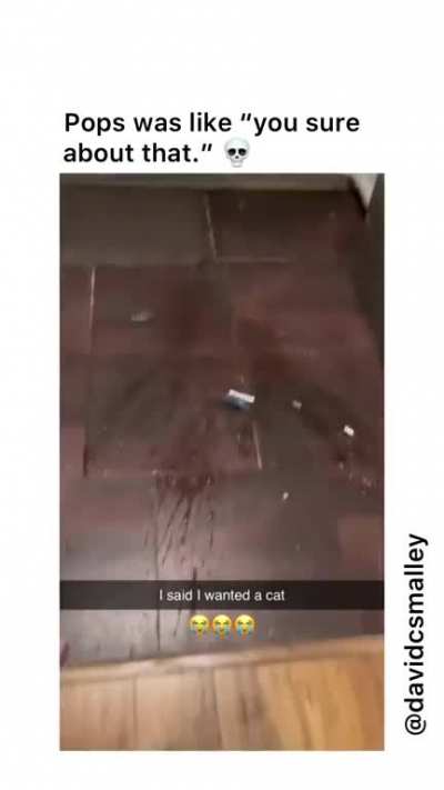Maybe Maybe Maybe