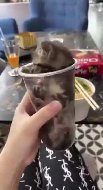 If I fits I sits