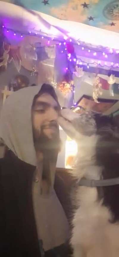 Oh wait, is kisses