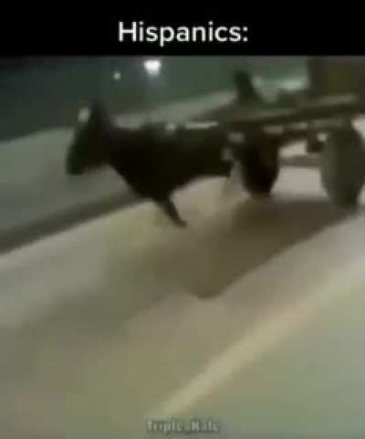 Hispanics wins