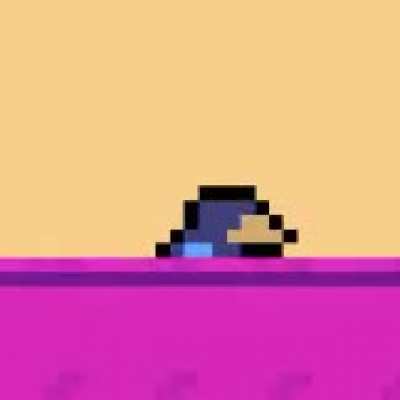 watch as bird slowly sinks into the floor