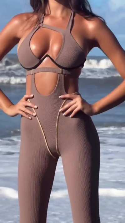 Classy brown-haired beauty in a hazelnut bodystocking on the beach &bull; Version 2.0.