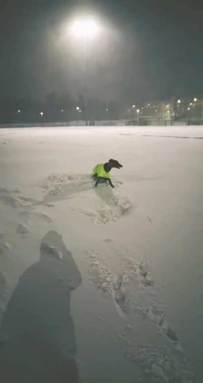 Snowpsychosis!