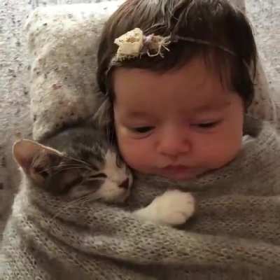 Safe life with kitten!!