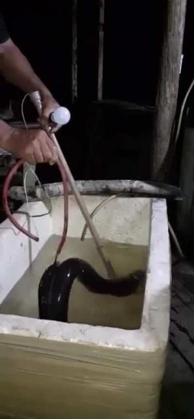 electricity