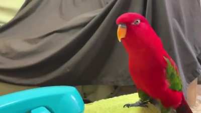 Wuewuewuewuewue