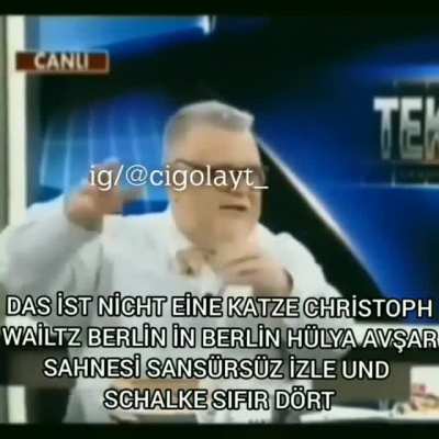 Ya chat