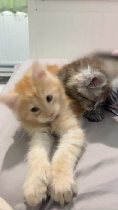 micro is getting really good at fighting back