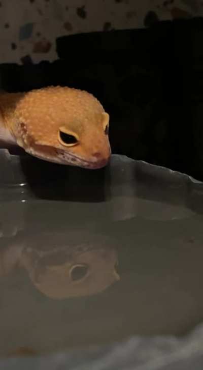 She&rsquo;s 100% Getting a Good Drink of Water