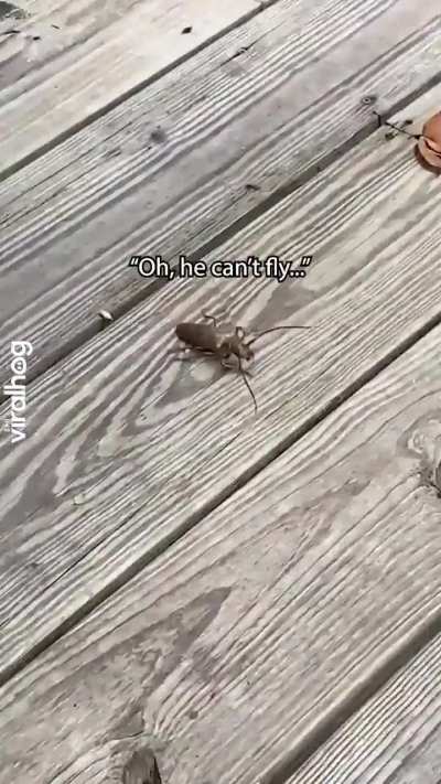 "What'd you say?"