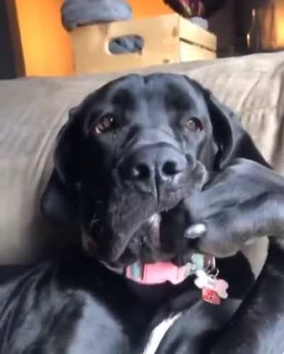 The deep thinker