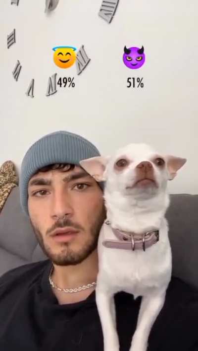 Hehe It&rsquo;s Not True