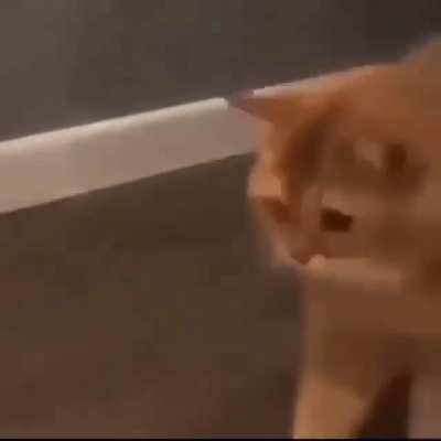 terrible........i camt belive it..