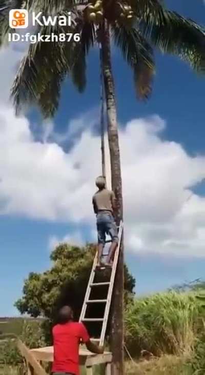 Segura a&iacute;!