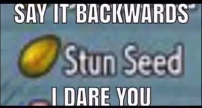 Say it.