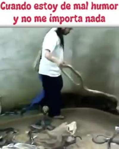 El admin chabales