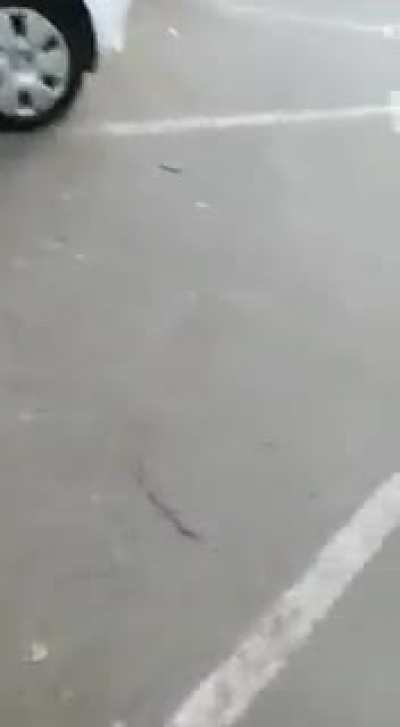 Električni skiro zagori 😨😲😢