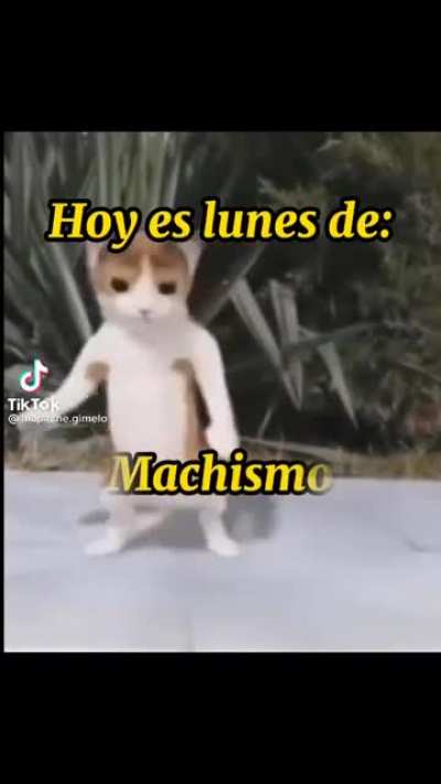 Lunes de machismo 😈🙏