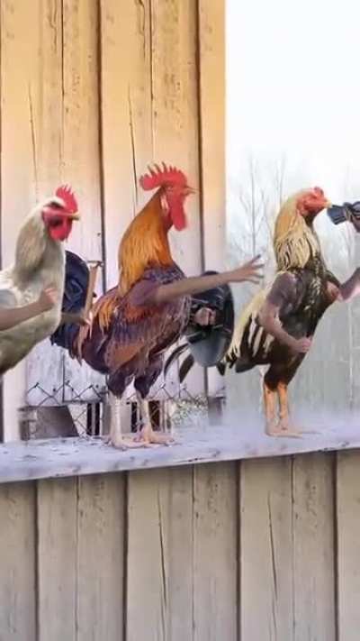 Maybe Maybe Maybe