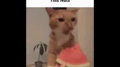 This nuts