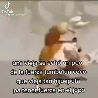 tem&oacute;n
