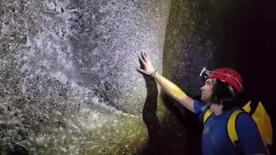 Scientists discovered the world&rsquo;s largest spiderweb, covering 106 m&sup2; in a sulfur cave on the Albania-Greece border. Over 111,000 spiders from two normally rival species live together in a unique, self-sustaining ecosystem&mdash;a first of its kind.
