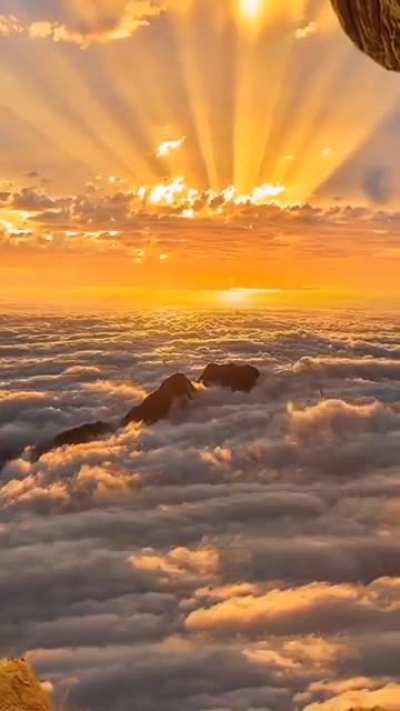 🔥 Imagine witnessing this with your own eyes